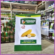 ✈ ◓ ◳ Bravado F1 Hybrid Sweet Corn Pack - Condor Quality Seeds