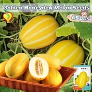 65pcs/pack Fresh Golden Honeydew Melon Seeds for Planting - High Yield Golden Honeydew Fruit Seeds S