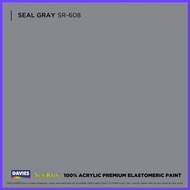 ▣ ▌ ◀ DAVIES Sun & Rain Color Pods Paint (250ml) Seal Gray