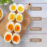 Boiler Steamer Egg Steamer Mini Electric Egg Cooker Automatic Electric Egg Boiler ||