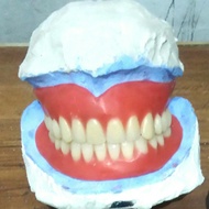 Gigi palsu acrylic full rahang atas dan full rahang bawah (28 gigi)