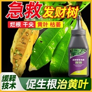 Becos Fortune Tree Special Fertilizer Home Gardening Organic Yellow Leaf Rotten Roots Promote Flower