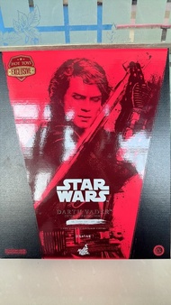 【現貨已打理】 Hottoys hot toys DX47AE 安納金入魔植髮版 Anakin Skywalker Darth Vader (Sith Apprentice) (Artisan Edi