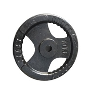 Cast iron dumbbells, 10kg disc dumbbells