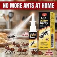 🐜50 Years No Ants🚫 Ant killer ant spray killer spray semut Racun semut Ubat semut Anti ant Pointed T