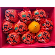 [CNY SPECIAL] Hong Mei Ren 红美人 Mandarin Orange Ehime Jelly