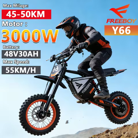 FREEBOY Y66 E-bike 3000W Motor 48V30AH Battery Electric Bike Max Speed: 55KM/H 12/10-In All-terrain 