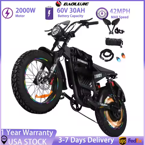 BAOLUJIE DM01 Electric Motorcycle 2000W Moto Electric Bicycle 60V30AH Battery Color Display 42 MPH E