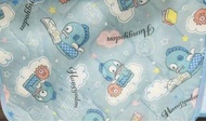 （涼感_代購賣$8xx）2023日本正版「預訂」 看圖下單❤️‍🔥日本 sanrio 水怪枕頭墊  $55@1 $80@2、、、 水怪床墊 $109.9@100x200cm，150x200cm，180