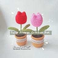 DreamLyn Craft Tulips Flower Crochet Pot