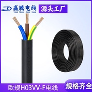 VDE European Standard PVC Wire Cable H03VV-F Small Appliance Lighting Two-Core Three-Core Power Conn
