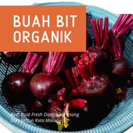 Buah Fresh Buah Bit Buat Ibu Hamil Bit Merah Bagi Kesehatan Buah Bit Organik 1 Kg FRESH