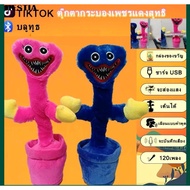 talking cactus/ voice recording/singing cactus