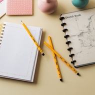 AGATIS Prime - 5B Pencil Sketch Pencil Drawing Pencil 5B Pencil