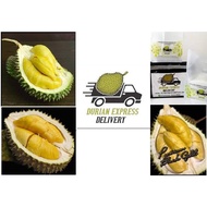 [Durian Express Delivery] 400g Fresh D13