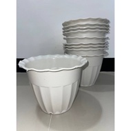 10 pieces BIG paso 9x7"- 10 white pots for plants for PHP400 - round pots / indoor & outdoor 40 peso