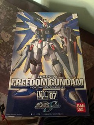ZGMF-X10A 1/100 Scale model Freedom