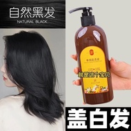 Hot SaleNew Product Ready Stock Annual Single Agent Floral Hair Dye Cream Ammonia-free Plant Hair Dy