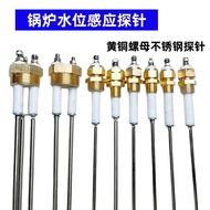 Boiler Water Level Probe Jiangxin Shengtian Steam Generator Probe Liquid Level Control Sensor Probe 