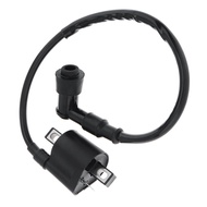 Motorcycle Ignition Coil High Pressure Coil Fit for 150CC 200CC 250CC Scooter Moped Motor