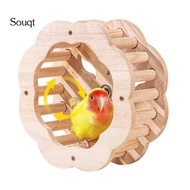 Souqt|  Bird Perch Toy Cockatiel Perch Toy Wooden Bird Perch Toy with Spinning Wheel for Parakeets C
