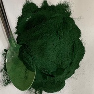 HIJAU Spirulina (To Make Green Water - Water Fleas And SEA MONKEY Food)