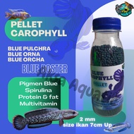 Premium Blue Pellet Fish Feed Channa Blue Antem 100ml Bottle Packaging