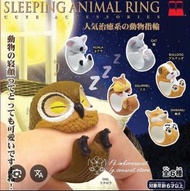 全新 治癒系動物戒指扭蛋 sleeping animal ring 老虎狗 貓頭鷹 日本扭蛋