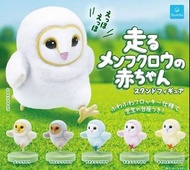 Qualia扭蛋奔跑的貓頭鷹BB 全套