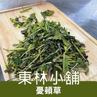 < Donglin Shop > Worry Duncao Shield Grass Uton Toncao Sabah Snake Crocodile Mouth Flower