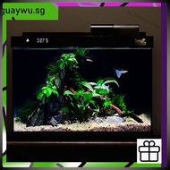 Bottom Fish Tank Filter Ecology Aquarium Self Circulating Aquarium Tank Silent Small Fish Tank qw56t