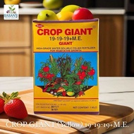 CROP GIANT (yellow) 19-19-19+M.E. FOLIAR FERTILIZER 1 KILO