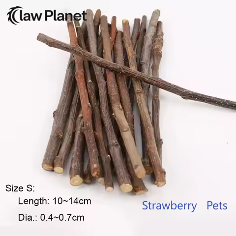 5pcs 10pcs 40pcs Chew Stick Apple Tree Branch Hamster Squirrel Natural Toys Parrots Rabbits Grinding