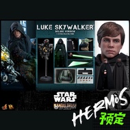 HOTTOYS HT The Mandalorian Skywalker Luke DX22 Regular DX23 Deluxe Edition vip Order