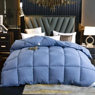 Goose Down Duvet Comforter Quilted Perfect Comfort Double Single Size Winter Thick Blanket Solid Col