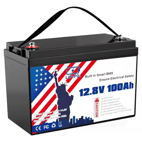 12.8V 100Ah LiFePO4 Battery, Grade A Lithium Iron Phosphate Battery Cells Group 31 Built-in 100A BMS
