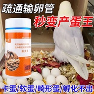 Parrot Eggs Abundant Bird Laying Eggs Handy Tool Increasing Egg Treasure Promoting Breeding Laying E