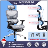 NELSON Ergonomic Office Chair with Lumbar Support, Mesh Desk Chair with 4D Adjustable Arms Headrest, High Back Computer Chair for Home Office Work