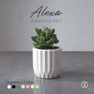 Concreate LIVING Cactus Pot 8 Cm Alexa Home Decor 8 Cm Aesthetic Pot / Hydroponic Pot / Table Decora