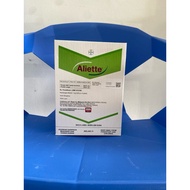 Aliette RACUN KULAT🍄‍🟫