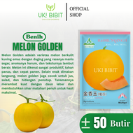 Kemasan Original | Benih Biji Melon Golden | Melon Emas | Melon Kuning
