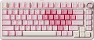 YUNZII B75 PRO Wireless Mechanical Keyboard,75% Layout with Knob,Hot Swap Gasket Custom Structure,Cr