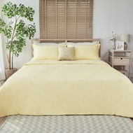 JUBILY ชุดผ้าปูที่นอน 5 ฟุต QUEEN (Set 3 ชิ้น) - HOLIDAY DELIGHT COLLECTION 460 Series