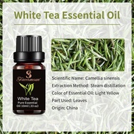 白茶香薰精油 纯精油单方精油 精油 按摩精油 植物精油White Tea Aromatherapy Essential Oil Pure Essential Oil Single Essential 