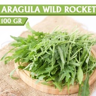 SELADA ARAGULA ORGANIK SEGAR FRESH RUCOLA ROCKET WILD LETTUCE SAYUR SALAD