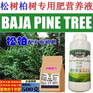 真柏松柏营养液真柏专用肥 Cypress Pine Cypress Nutrient Solution Cypress Special Fertilizer Pine Special Fertiliz