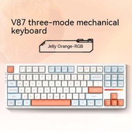 VGN V87/V87PRO the third mock examination connection customized mechanical keyboard IP co branded ga
