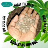 Bibit Porang Katak Mini Harga Ecer 1 Kg Muat 1000 Biji