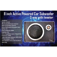 Car Active Subwoofer