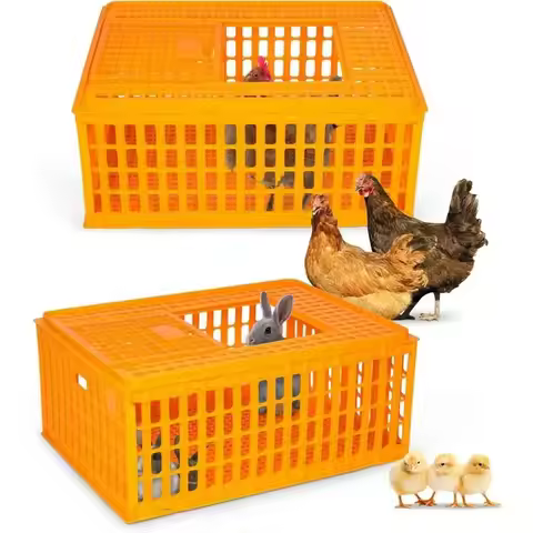 Dual Heavy-Duty Plastic Chicken Transport Crates for 10-13 Birds, 29.5 X 21.7 X 13